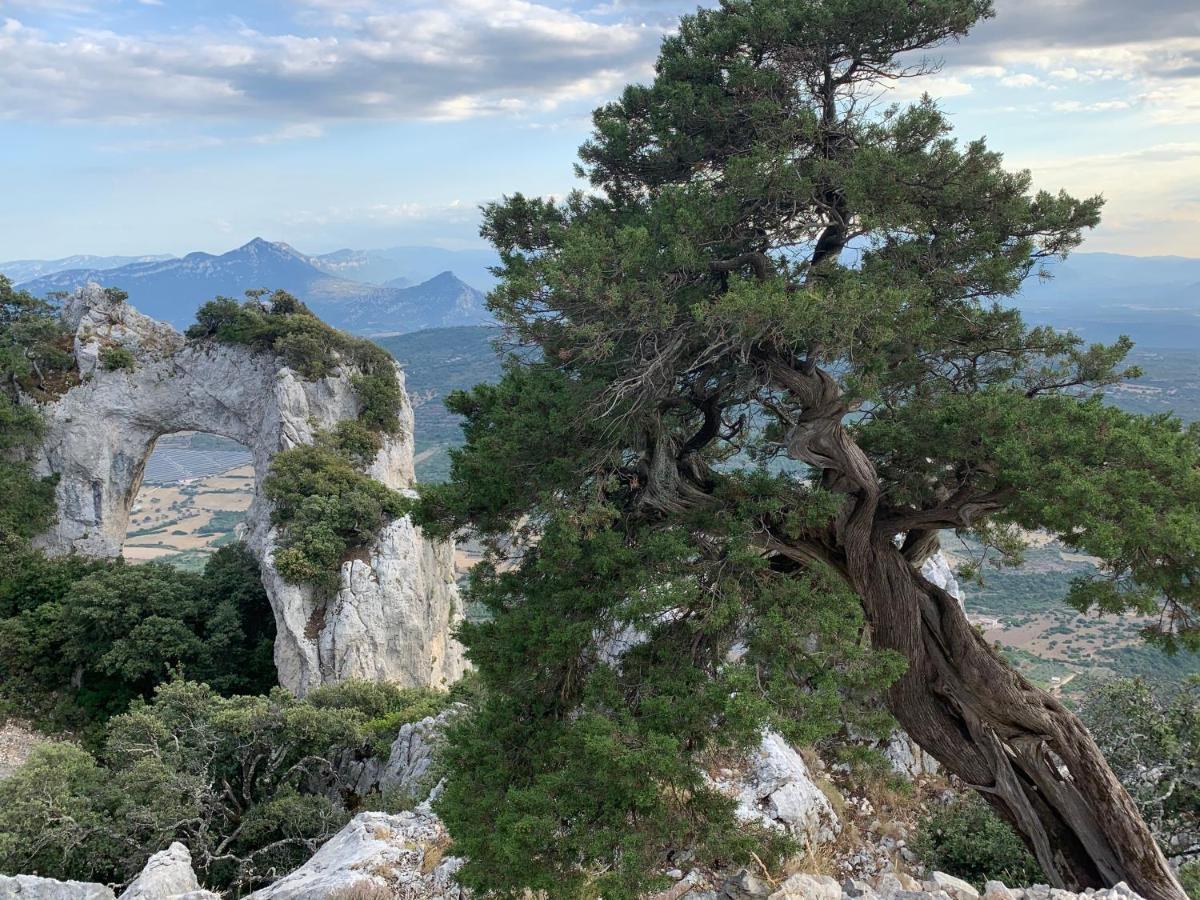 Sa Domu E Muru Galtellì Exteriör bild