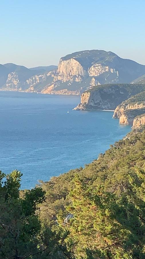 Sa Domu E Muru Galtellì Exteriör bild
